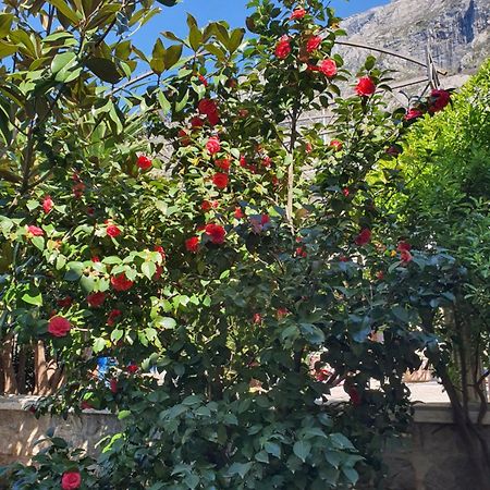 La Grande Apartments Kotor Eksteriør billede
