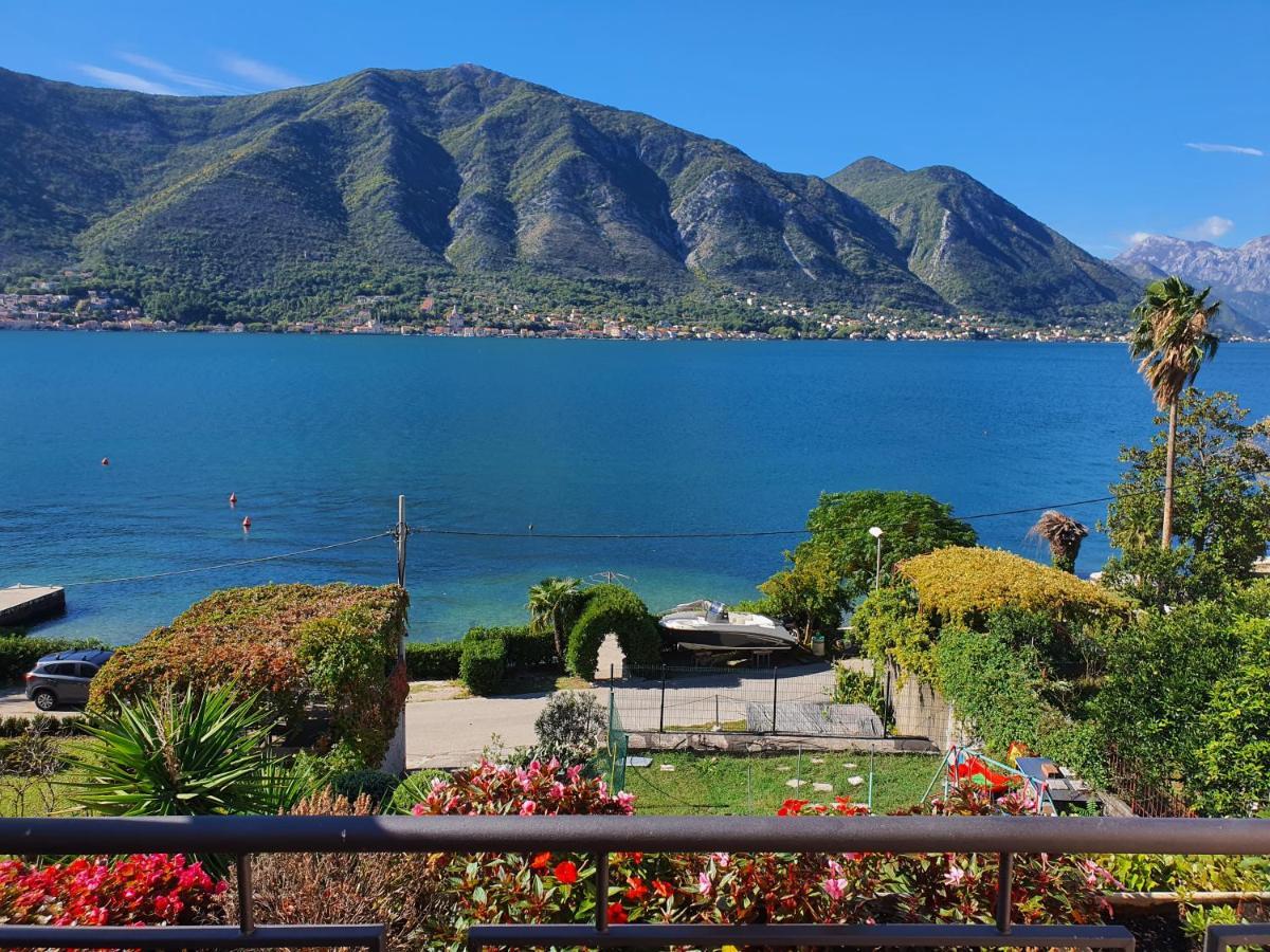 La Grande Apartments Kotor Eksteriør billede