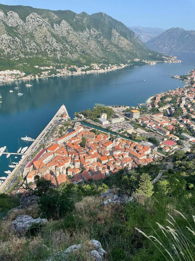 La Grande Apartments Kotor Eksteriør billede