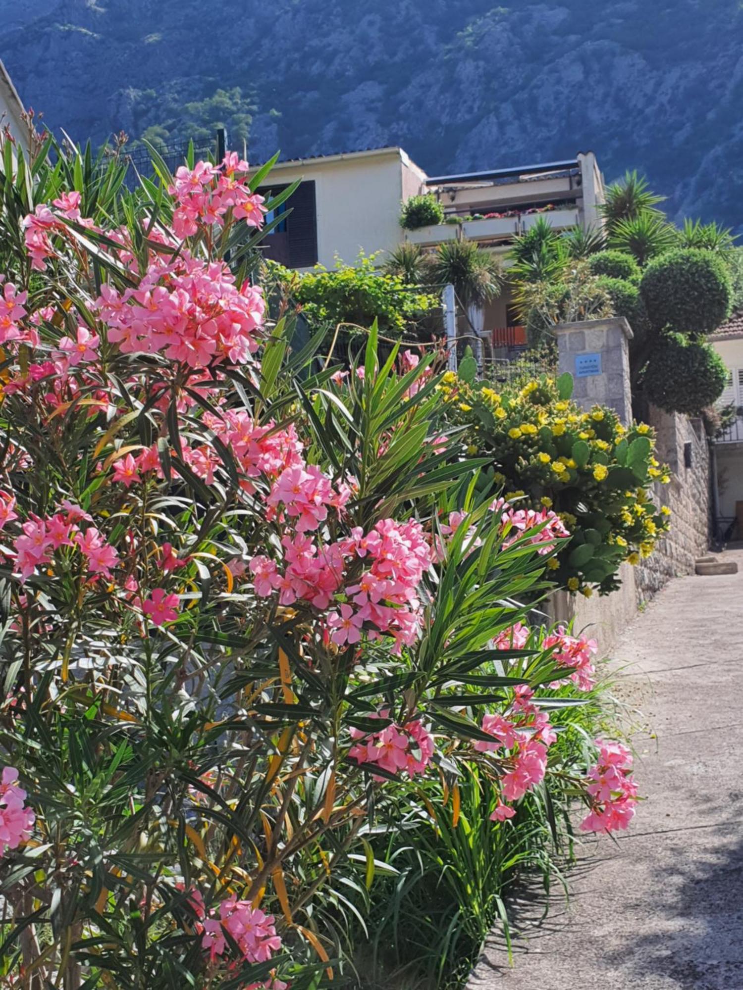 La Grande Apartments Kotor Eksteriør billede